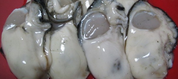 Hamanako Oyster